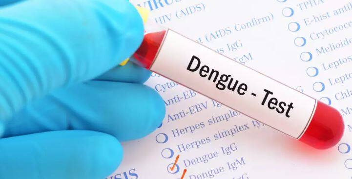 Dengue fever is on its hype more then 30 thousant cases in india are noticed in this season with different dengue symptoms Dengue cases in india: भारत में डेंगू के 30 हजार से अधिक केस, इस राज्य में डेंगू का सबसे ज्यादा कहर