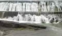 ચોમાસાને 40 દિવસનો સમય પુર્ણ, 206 જળાશયમાં 68.34 ટકા જળસંગ્રહ