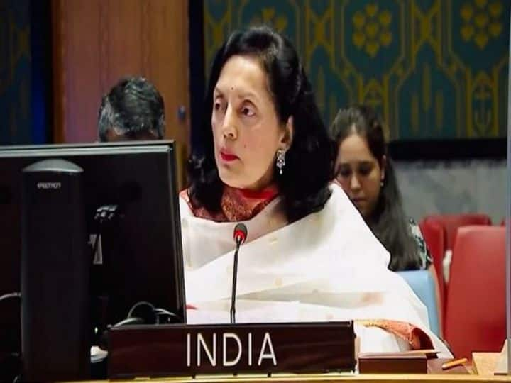 UNSC Meet: India Slams China, Pakistan For 'Double Standards' In Dealing With Terrorists