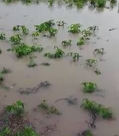 राज्याच्या विविध भागात मुसळधार पाऊस