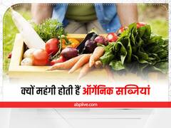 Organic Farming: आखिर क्यों महंगी मिलती हैं ऑर्गेनिक सब्जियां, कारण जानकर हैरान रह जायेंगे