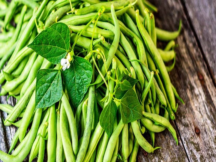 Beans Cultivation: इस खेती से मिलेगा 5 लाख रुपये का शुद्ध मुनाफा, 80 दिनों तक 150 क्विंटल उत्पादन ले पायेंगे