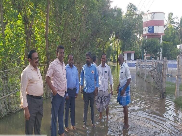 Horticulture crops affected by floods in Kollidam River TNN கொள்ளிடம் ஆற்றில் வெள்ளப்பெருக்கால் தோட்டக்கலைப்பயிர்களை நீர் சூழ்ந்து பாதிப்பு - அதிகாரி நேரில் ஆய்வு