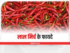 Red Chilli: बड़े काम है लाल मिर्च, सही तरीके से इस्तेमाल करने से मिलते हैं ढेरों फायदे