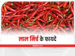 Red Chilli: बड़े काम है लाल मिर्च, सही तरीके से इस्तेमाल करने से मिलते हैं ढेरों फायदे