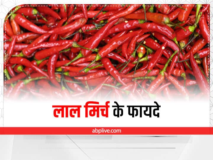 red chilli health benefits and uses in Hindi Red Chilli: बड़े काम है लाल मिर्च, सही तरीके से इस्तेमाल करने से मिलते हैं ढेरों फायदे