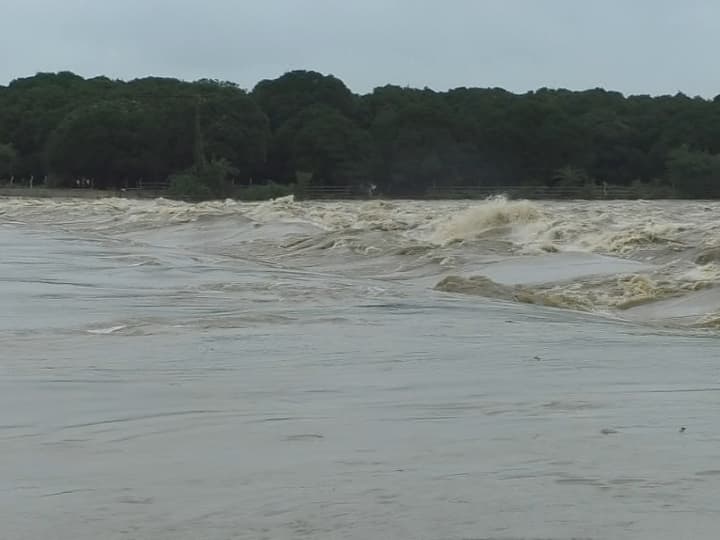 लगातार दो दिनों से हो रही बारिश की वजह से दुर्ग संभाग में शिवनाथ नदी खतरे के निशान से ऊपर बह रही है.