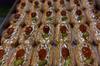Raksha Bandhan 2022: રક્ષાબંધન પર અહીં મળી રહી છે રૂપિયા 6 હજાર પ્રતિ કિલોના ભાવની મીઠાઈ, જાણો શું છે ખાસિયત