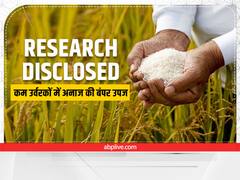 Agriculture Research: रिसर्च में हुआ बड़ा खुलासा! उर्वरकों के कम इस्तेमाल से भी होगा अनाजों का बंपर उत्पादन