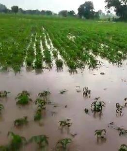 राज्याच्या विविध भागात मुसळधार पाऊस