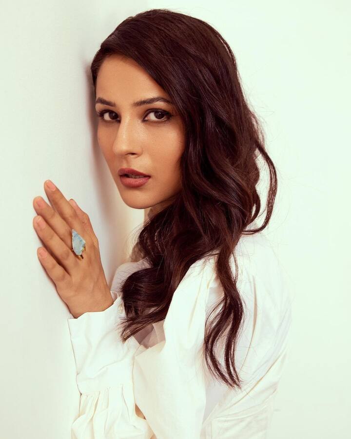 शहनाज गिल ने 'बिग बॉस' के बाद अपना काफी वजन कम किया है. उनकी कमाल की फैट टू फिट जर्नी रही है, जो उनके फैंस को काफी इंस्पायर करती है.