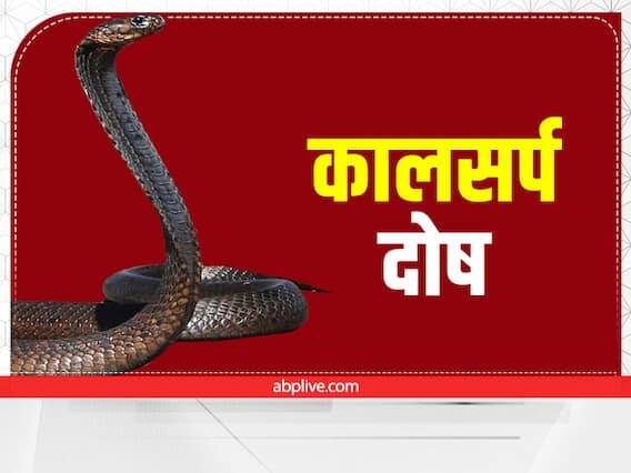 Kaal Sarp Dosh- કાલ સર્પ યોગને સૌથી અશુભ યોગ માનવામાં આવે છે. જ્યોતિષમાં આ યોગ વિશે અલગ-અલગ મંતવ્યો છે. કાલસર્પ યોગ બે અશુભ ગ્રહોથી બનેલો છે, જેને રાહુ અને કેતુ કહેવામાં આવે છે.