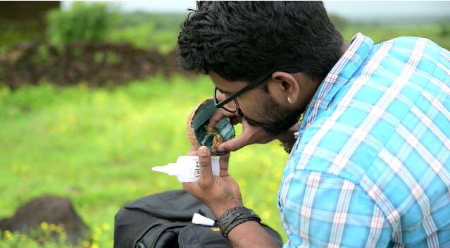 या दिवशी कोळी बांधव आणि समुद्रकिनारी राहणारे लोक वरुणदेवते प्रीत्यर्थ समुद्राची पूजा करुन त्याला नारळ अर्पण करतात.