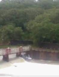 राज्यात 7 ऑगस्टपासून सुरु झालेला पावसाचा धुमाकूळ आजही सुरुच