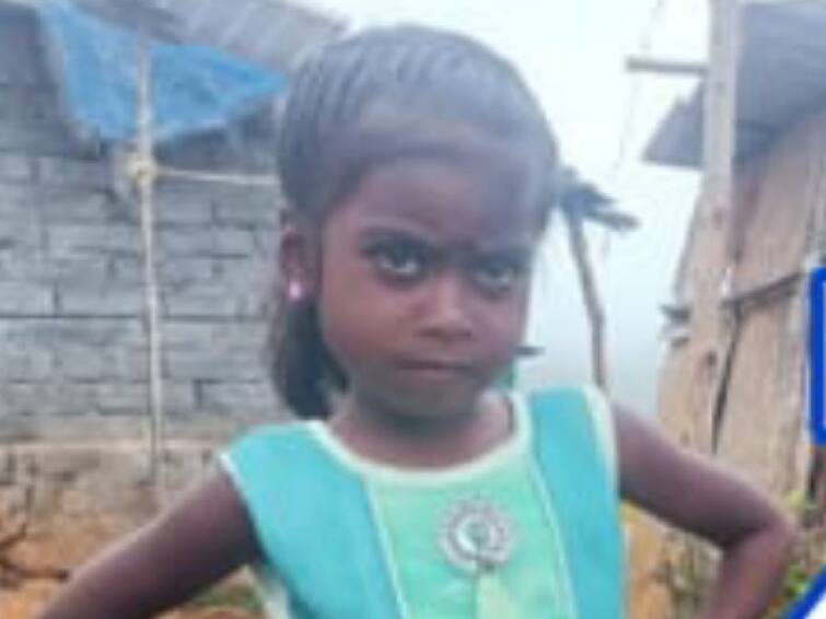 Nilgiris: 4-year-old girl dies after being attacked by a leopard in  Nilgiris TNN நீலகிரி: சிறுத்தை தாக்கி 4 வயது சிறுமி உயிரிழப்பு - பொதுமக்கள் அச்சம்