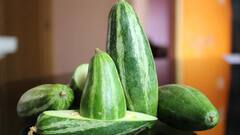 Pointed Gourd: ভাজা থেকে তরকারিতে পটল খাচ্ছেন? তাহলে উপকারিতাগুলোও জানুন