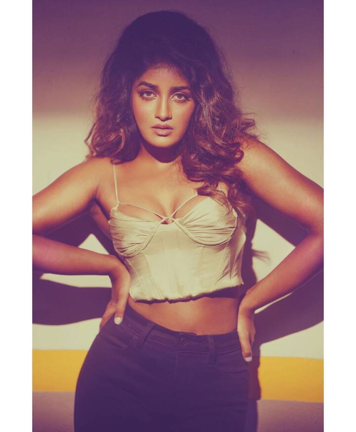 డింపుల్ హయతి ఎక్స్ పోజింగ్ ఫోటోలు -Image Credit: Dimple Hayathi/Instagram