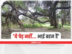 Raksha Bandhan 2022: सीवान के भैया-बहिनी मंदिर की अलग है मान्यता, धरती फटी थी और समा गए थे भाई-बहन