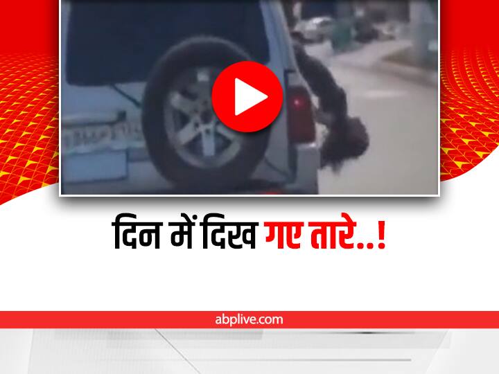 woman dancing on car window fall down on road video viral on social media Viral Video: कार की खिड़की पर बैठकर डांस कर रही थी महिला, अगले ही पल हुआ खतरनाक हादसा