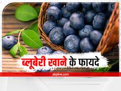 Blueberry Benefits: अगस्त और सितंबर में जमकर खाएं ब्लूबेरी, खूब मिलेगा फायदा