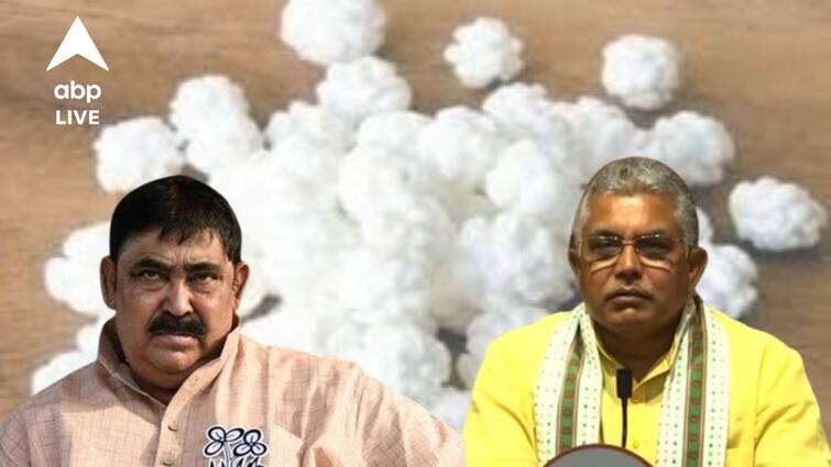 Dilip Ghosh directs to serve nokuldana after anubrata mandal arrested in cow smuggling case Dilip Ghosh : অনুব্রত গ্রেফতার হতেই গ্রামে নকুলদানা বিলির আবেদন, 'একদম' সায় দিলীপের