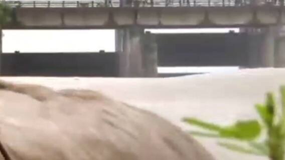 1,87,500 cusecs of water released in Haryana's Hathini Kund