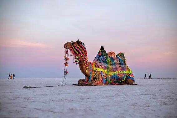 kutch rann, gir park to gandhi ashram and the statue of unity, see here best Gujarat Tourist Places Gujarat: તહેવારોની આ સિઝનમાં હરવા-ફરવા માટે બેસ્ટ છે ગુજરાતના આ સાત સ્થળો, એકવાર જરૂર કરો પ્લાન.........