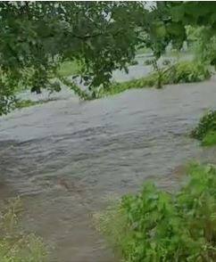 राज्यातील सर्व जिल्ह्यात समाधानकारक पाऊस