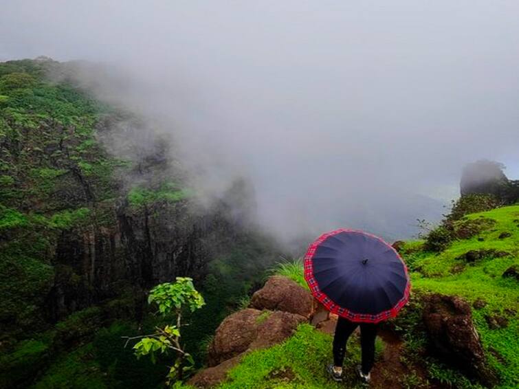 Maharashtra Rain 27 percent more rain than average in the state so far, according to the Meteorological Department Maharashtra Rain : राज्यात आत्तापर्यंत सरासरीपेक्षा 27 टक्के जास्त पाऊस, 24 जिल्ह्यात 60 टक्के अधिक पावसाची नोंद