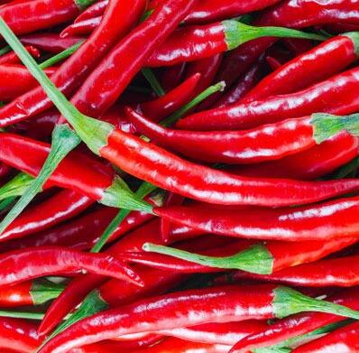 Red Chilli : Red chilli is very useful, its proper use gives many benefits, know Red Chilli  : ਬਹੁਤ ਕੰਮ ਦੀ ਹੁੰਦਾ ਐ ਲਾਲ ਮਿਰਚ, ਇਸ ਦੀ ਸਹੀ ਤਰੀਕੇ ਨਾਲ ਵਰਤੋਂ ਕਰਨ ਨਾਲ ਮਿਲਦੇ ਹਨ ਕਈ ਫਾਇਦੇ, ਜਾਣੋ