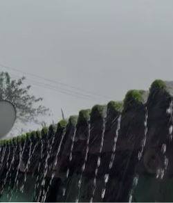 राज्यात सरासरीपेक्षा अधिक पावसाची नोंद