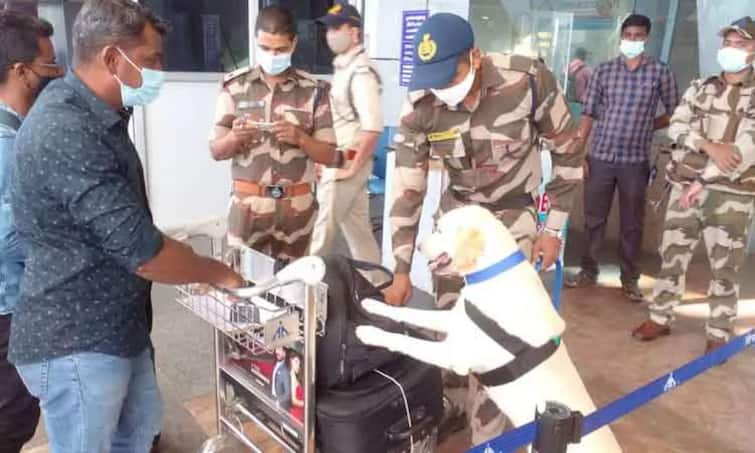 Three-tier security at Trichy airport ahead of Independence Day TNN சுதந்திர தினத்தை முன்னிட்டு திருச்சி விமான நிலையத்தில் மூன்றடுக்கு பாதுகாப்பு