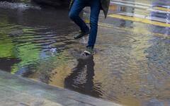 Safe Living in Monsoon : বর্ষায় থাকুন সাবধানে, বাঁচুন প্রাণভরে