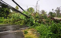 Safe Living in Monsoon : বর্ষায় থাকুন সাবধানে, বাঁচুন প্রাণভরে