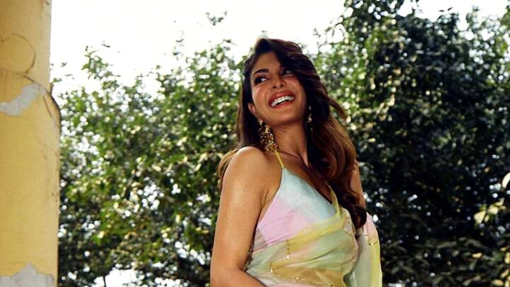 ২০১৩ সালে রেস ২ (Race 2) ছবিতে অভিনয় করেন জ্যাকলিন। এরপর কিক (Kikk) ছবিতে অভিনয় করেন জ্যাকলিন। এই একই নামে একটি তেলুগু ছবিতেও অভিনয় করেন তিনি।