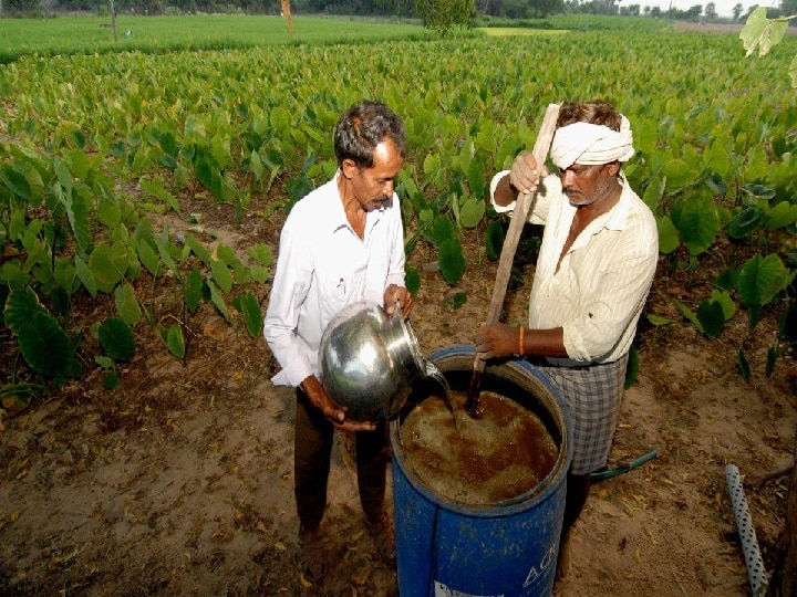 Natural Farming: जीरो बजट में कमायें लाखों का मुनाफा, बिना पैसे खर्च किये खेती करके मिलेगा बंपर उत्पादन