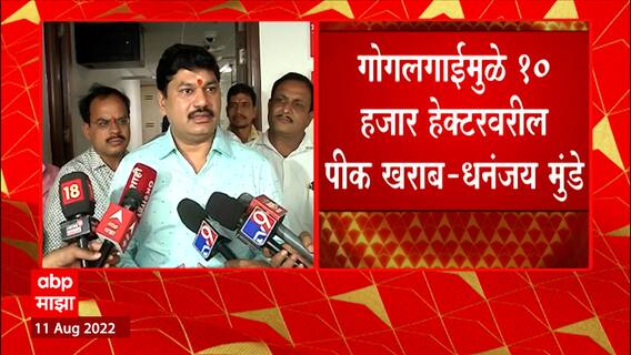 Dhananjay Mundhe On Crop Loss : गोगलगायींमुळे हजारो हेक्टरवरील पिकांचं नुकसान : धनंजय मुंडे