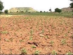 Draught In England: इंग्लैंड में भीषण गर्मी से हाल-बेहाल, सरकार ने कई हिस्सो में सूखे की आधिकारिक घोषणा की