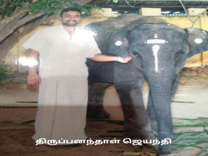 World Elephants Day : ஆகஸ்ட் - 12 :  உலக யானைகள் தினம்.. பல்வேறு கோணங்கள்.. பல்வேறு கோரிக்கைகள்