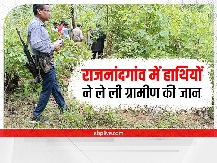 Rajnandgaon person kill many houses and crops destroyed by elephant in Chhattisgarh ANN Rajnandgaon News: राजनांदगांव में हाथियों के उत्पात से एक व्यक्ति की मौत, कई घरों और फसलों को पहुंचाया नुकसान