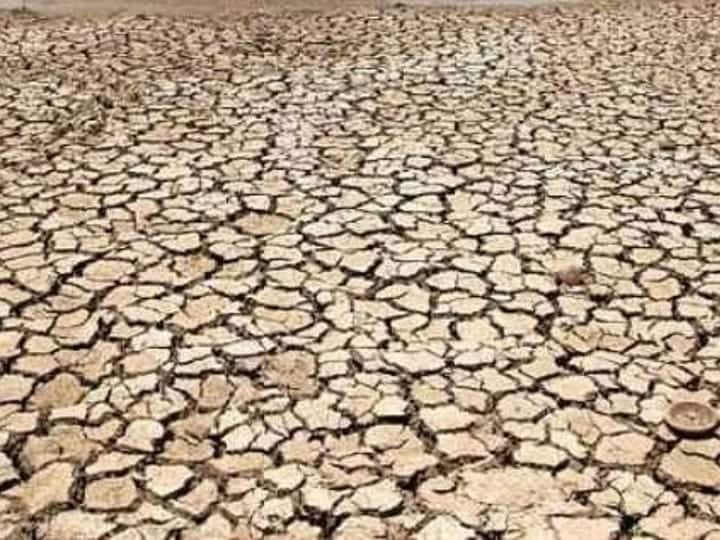 karur dry placed in lake and pond TNN கரூர்: கரைபுரண்டு ஓடும் தண்ணீர் - வறட்சியின் பிடியில் இருக்கும் ஏரி, குளங்கள்