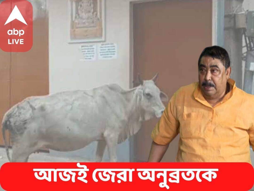 Anubrata Mondal Arrested Live Updates, CBI Gets 10-day Custody of TMC Leader, Know latest Updates Anubrata Mondal Arrested Live : স্বাস্থ্য পরীক্ষা শেষ, অনুব্রতকে ফেরত আনা হল নিজাম প্যালেসে