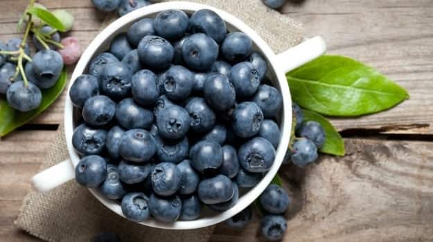 Blueberry benefits for health brain and skin best fruit for children Blueberry Benefits: ઑગસ્ટ અને સપ્ટેમ્બરમાં બ્લૂબેરીને ભરપેટ ખાઓ,  બાળકો માટે આ કારણે છે ઔષધ સમાન