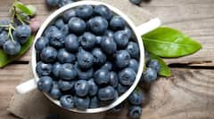 Blueberry Benefits: ઑગસ્ટ અને સપ્ટેમ્બરમાં બ્લૂબેરીને ભરપેટ ખાઓ,  બાળકો માટે આ કારણે છે ઔષધ સમાન