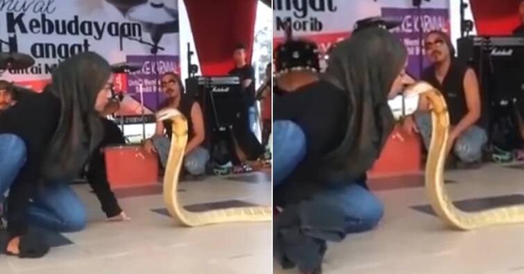 girl kiss a dangerous snake people shocked after watching Shocking: ਕਿੰਗ ਕੋਬਰਾ ਨੂੰ Kiss ਕਰਨ ਲਈ ਕੁੜੀ ਨੇ ਕੀਤਾ ਅਜਿਹਾ ਖ਼ਤਰਨਾਕ ਕੰਮ, ਵੀਡੀਓ ਦੇਖ ਹੈਰਾਨ ਰਹੀ ਗਏ ਲੋਕ