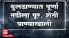 Buldhana Heavy Rains : बुलढाण्यात पूर्णा नदीला पूर, शेती पाण्याखाली गेल्याने शेतकऱ्यांचे मोठे नुकसान