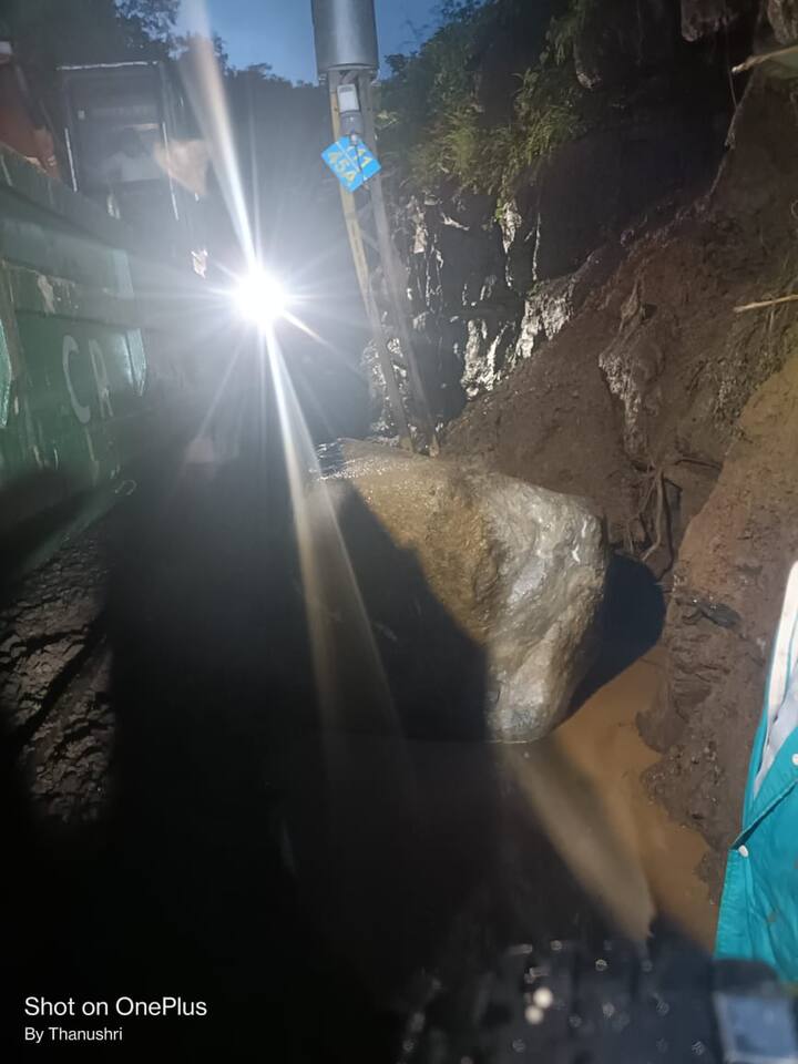 मंकीहिल ते ठाकूरवाडी दरम्यान मध्यरात्री ही घटना घडली.