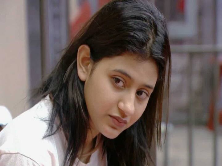 અંજલિ કરોડોની માલિક છે. તે સોશિયલ મીડિયા પર એક પોસ્ટની તગડી રકમ વસૂલે છે.