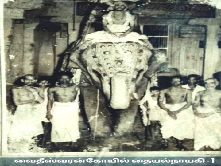 World Elephants Day : ஆகஸ்ட் - 12 :  உலக யானைகள் தினம்.. பல்வேறு கோணங்கள்.. பல்வேறு கோரிக்கைகள்