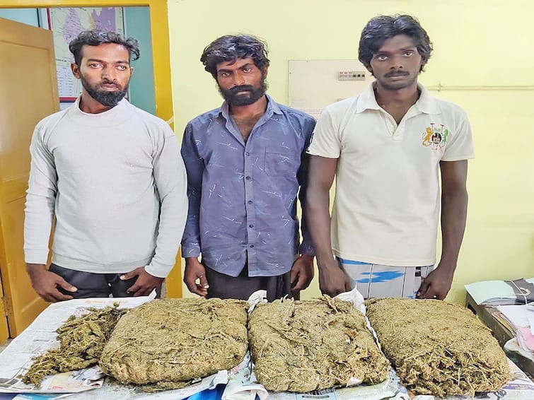 13 kg ganja seized in Kanyakumari district, 3 arrested TNN கன்னியாகுமரி மாவட்டத்தில் 13 கிலோ கஞ்சா பறிமுதல் - போலீஸ் விசாரணை